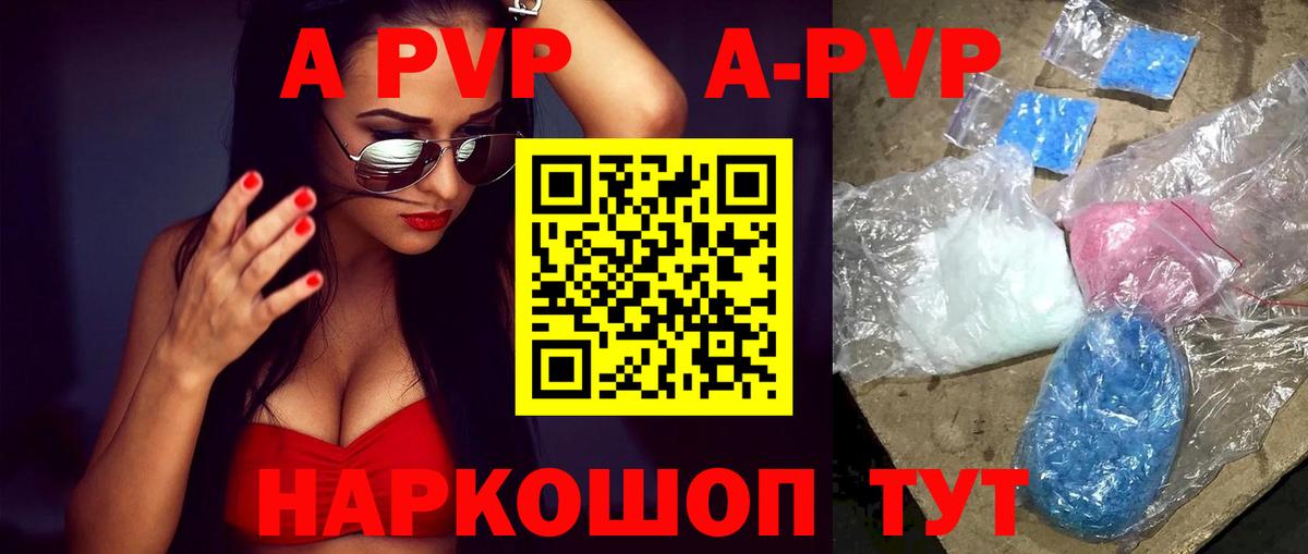 A PVP СК КРИС Шебекино