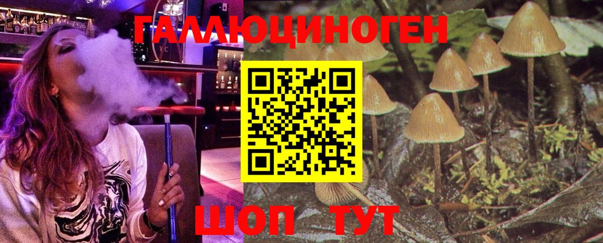 Галлюциногенные грибы мицелий Шебекино