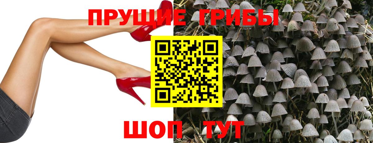 Шебекино  Псилоцибиновые грибы MAGIC MUSHROOMS  Вход с VPN  Галлюциногенные грибы Magic Shrooms 